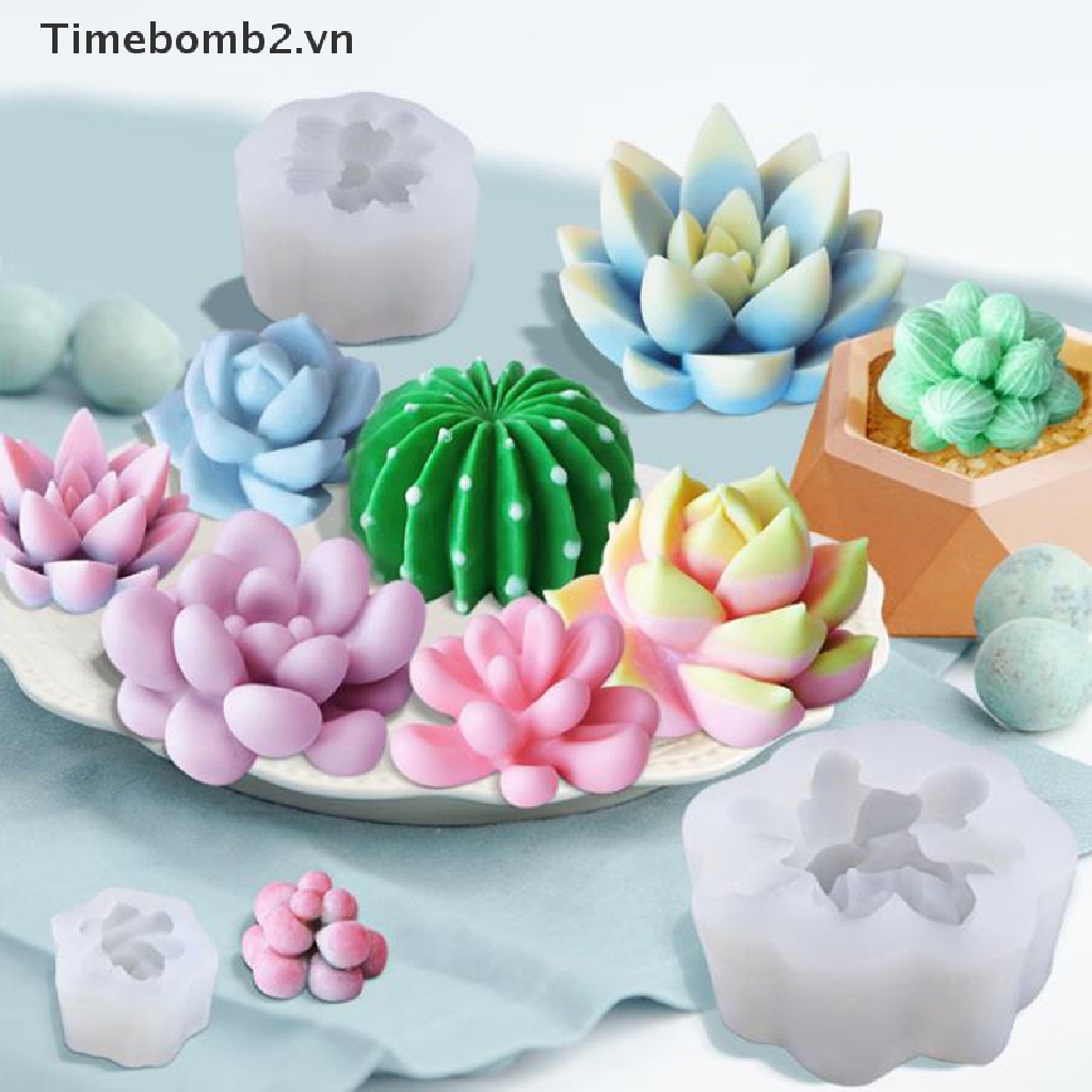 2 Khuôn silicone Hình Cây Xương Rồng 3D