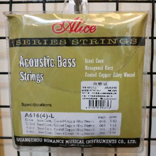 Dây đàn guitar bass thùng (Acoustic Bass Strings)