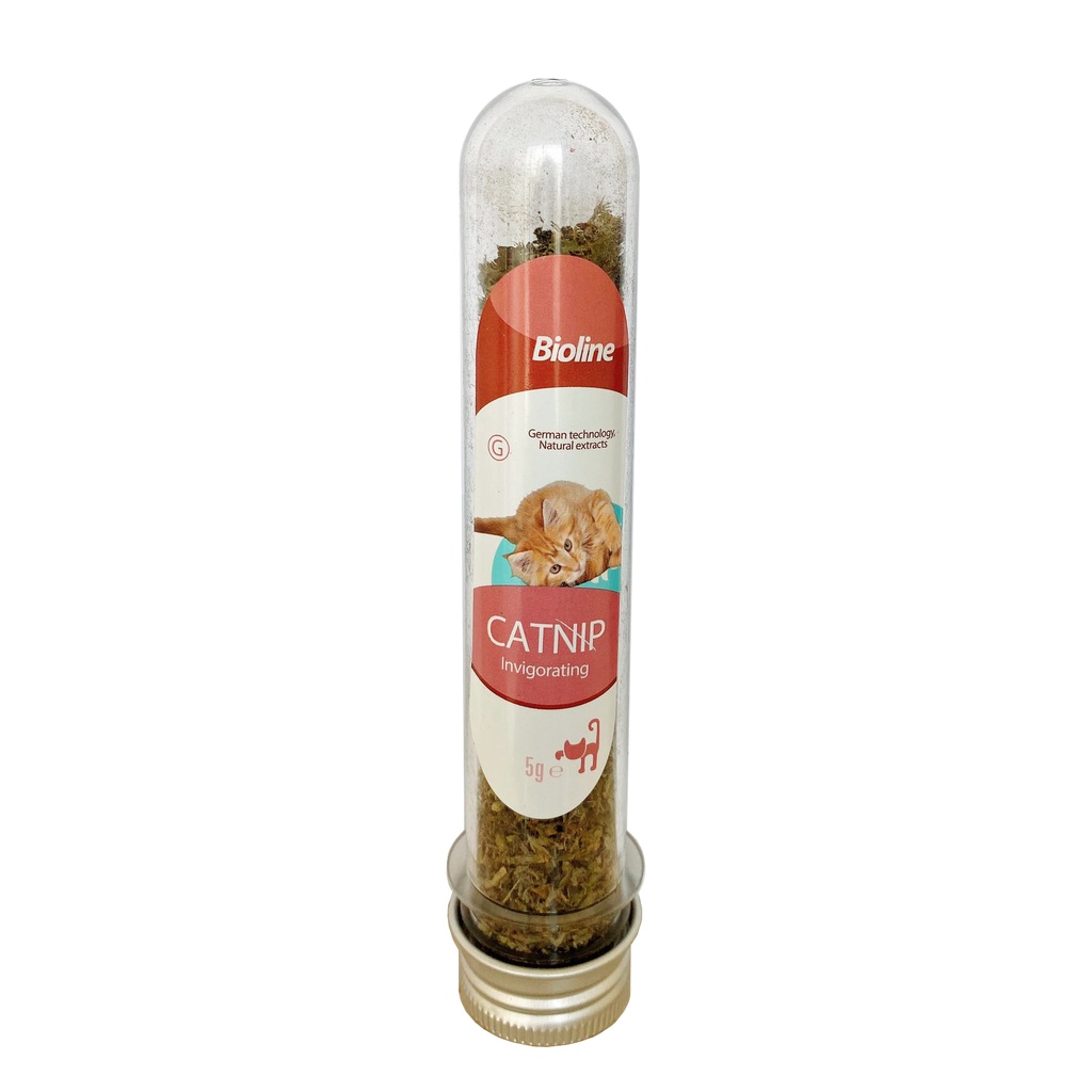 Catnip mèo - Cỏ mèo giúp mèo thoải mái