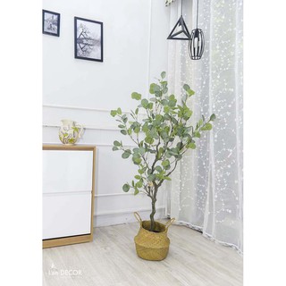 Cây bạch đàn trang trí cao 130cm - LC3050