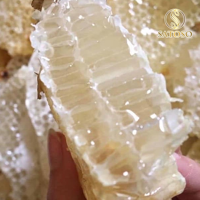 Mật ong trắng hoa Blong Song nguyên chất tốt cho sức khỏe SATOSO SA126