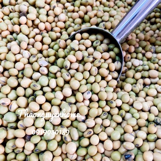 Đậu nành quê / đậu tương quê / đỗ tương quê hạt nhỏ giống cũ không biến đổi gen