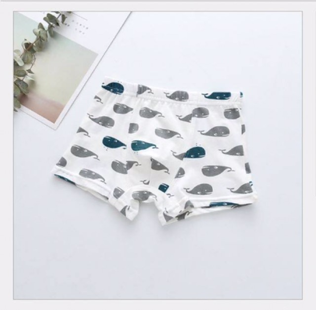 Set 5 quần chip bé Trai 10-50 kg