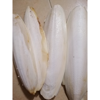 Mai mực nang mực 100 gam.