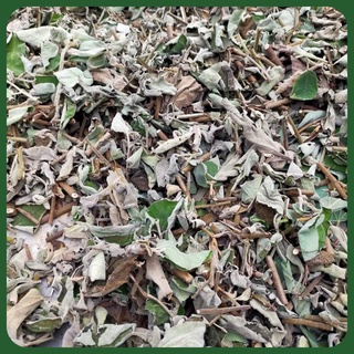 CÂY AN XOA HỖ TRỢ GAN, GAN NHIỄM MỠ