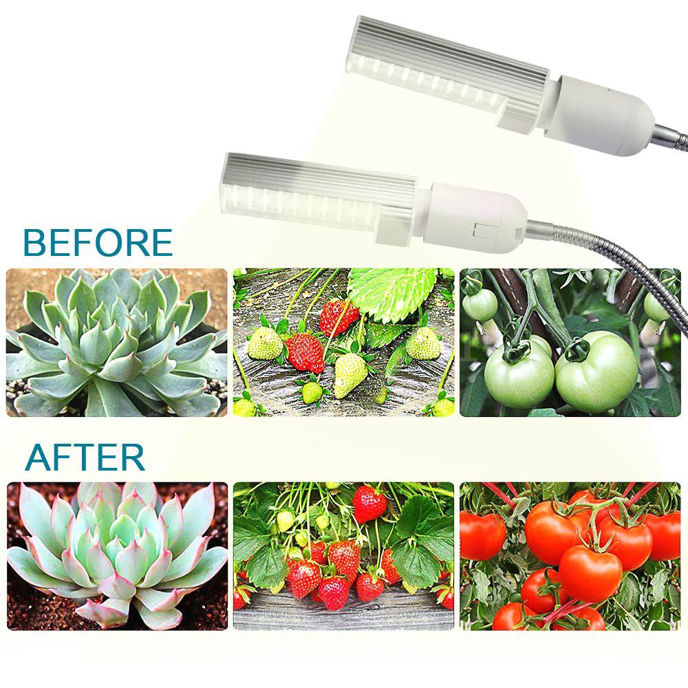 Đèn LED 50W siêu sáng Full Spectrum để bàn thích hợp cho trồng cây trong nhà