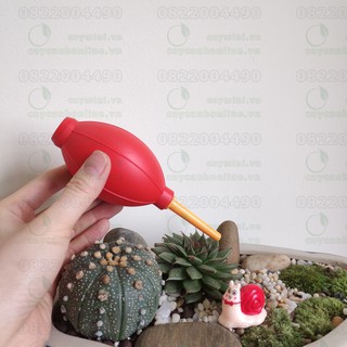 Bóng cao su xịt bụi