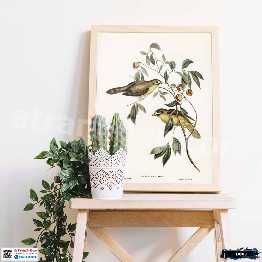 Tranh Canvas loài chim sẻ phong cách cổ điển - B003