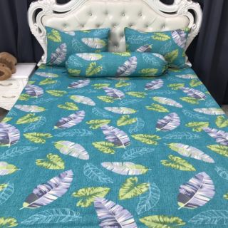 Bộ Drap Thun Hàn Quốc mát lạnh 4 món (Inbox nhiều mẫu lựa chọn)