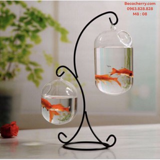 Bể Cá Mini Chữ X - 08 ( Tặng Kèm Phụ Kiện Trang Trí )