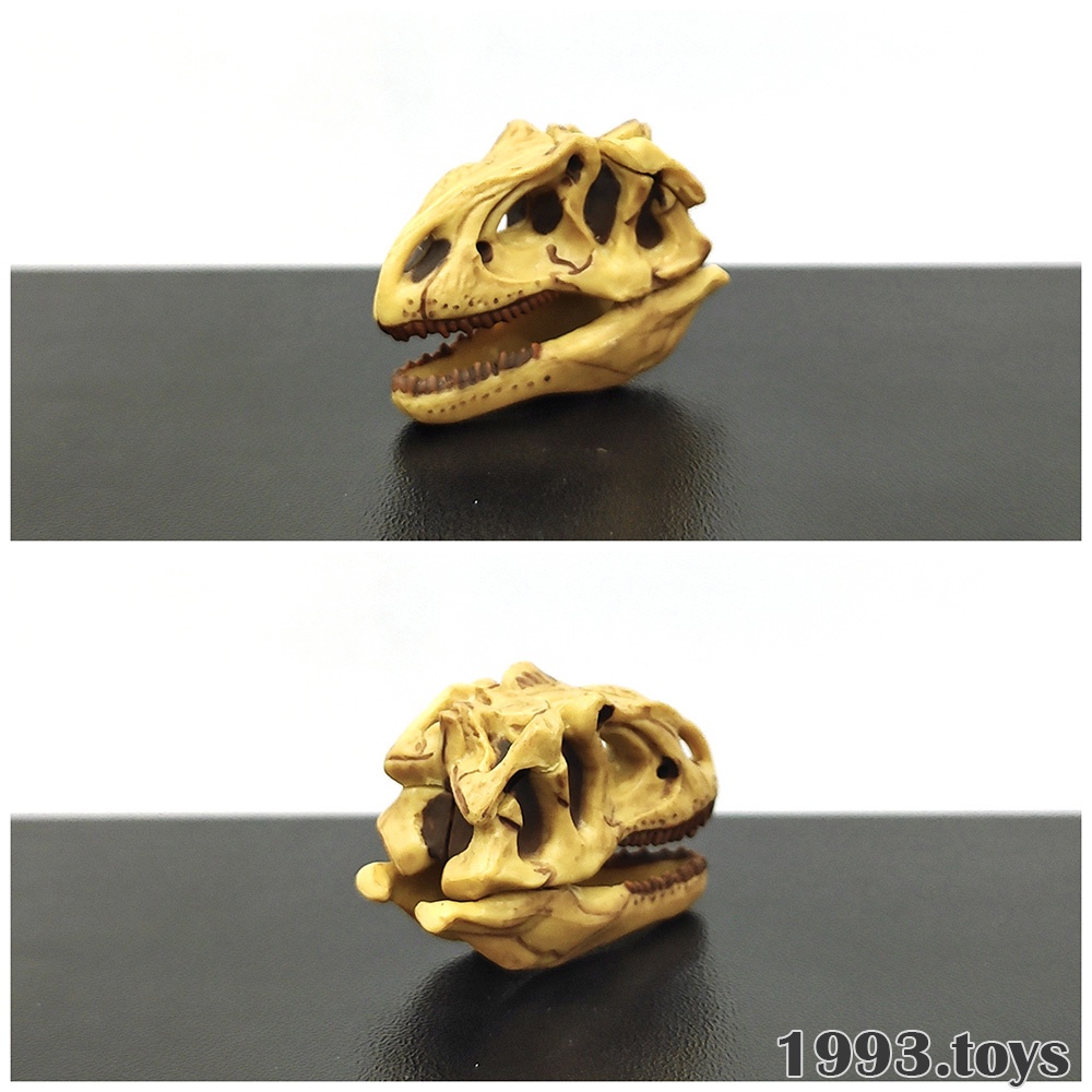 Mô hình thú chính hãng Kaiyodo UHA Dinotales Vol. 2 - Xương khủng long Allosaurus