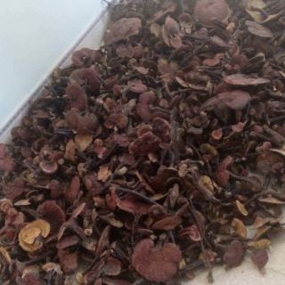 1kg NẤM LIM XANH (BÁN TỰ NHIÊN)