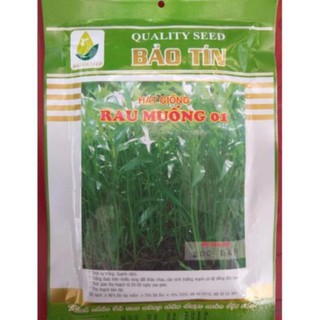 Hạt giống rau muống - rau muống lá tre