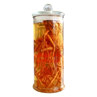 Bình ngâm rượu thuỷ tinh trụ trơn 12l có vòi