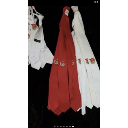 Cà vạt đoàn nam và nữ