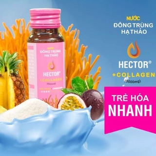 ĐÔNG TRÙNG HẠ THẢO HECTOR COLLAGEN