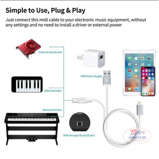 Dây chuyển đổi từ Lightning ra USB Type A và Type B - Dây Iphone ra DAC