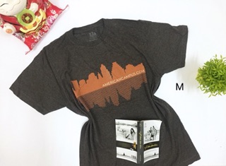 Combo 5 áo thun unisex