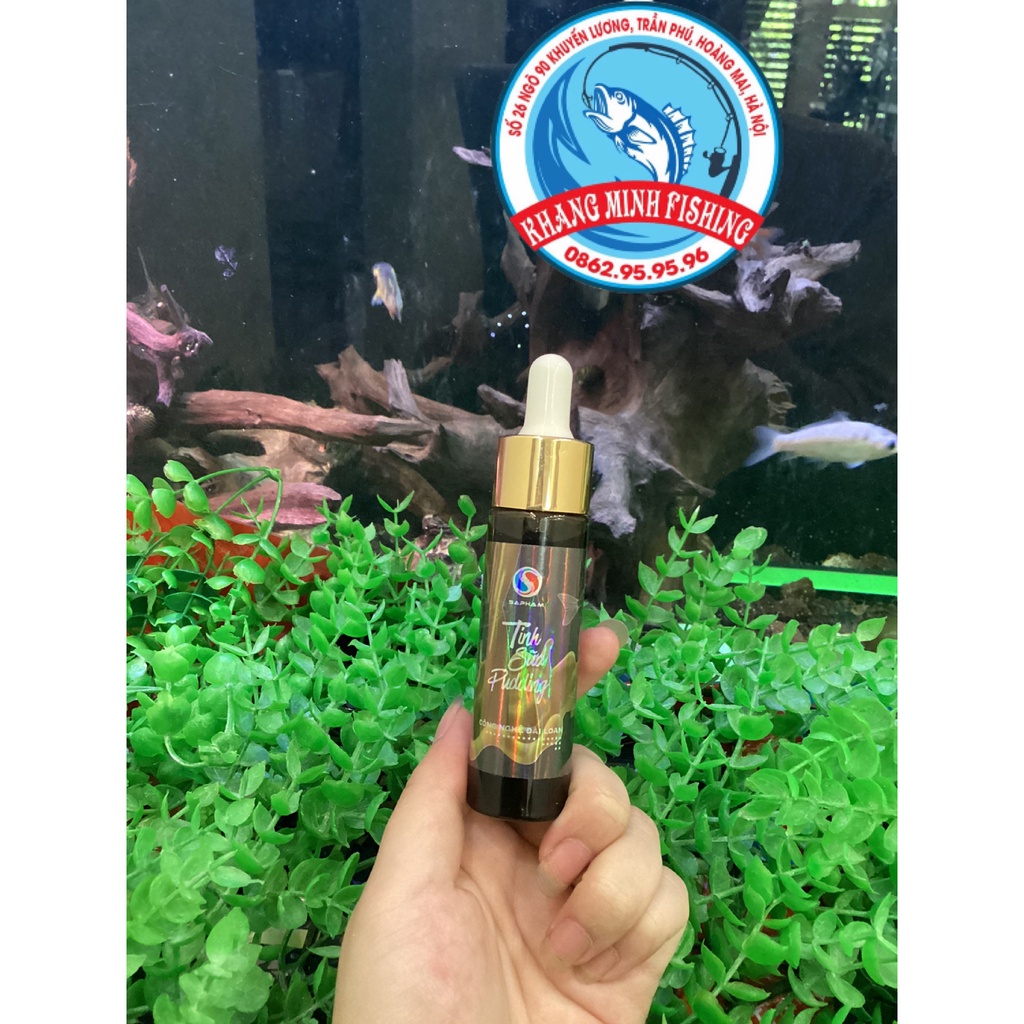 Tinh mùi Tinh sữa Pudding Sapham