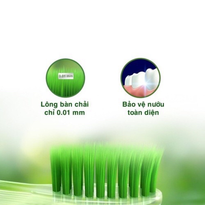 Bàn chải đánh răng oralb tinh chất trà xanh lông bàn chải mềm mại