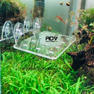 GIÁ ĐỠ CÂY MICA HÍT KÍNH