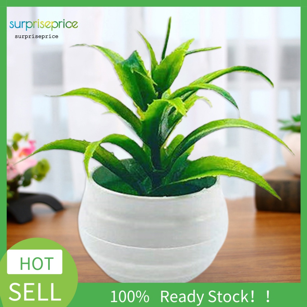 Chậu Cây Bonsai Giả Chống Rơi Dùng Trang Trí Nhà Cửa