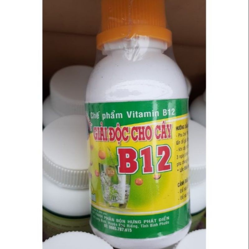 Vitamin B12 Cho Lan 100ml - Giải Độc Cho Cây Khi Bị Sốc Thuốc, Sốc Nhiệt - B12 Giúp Tái Tạo Tế Bào Mới, Phục Hồi Nhanh