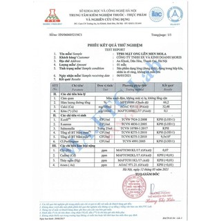 Mật Ong Lên Men MOLA Dạ Dày 330ml