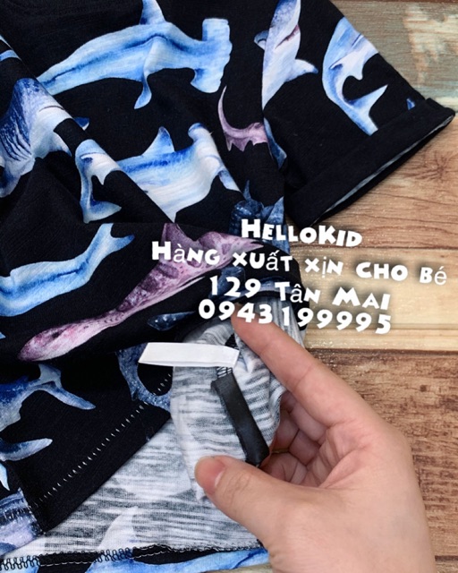 Áo thun cá mập các loại