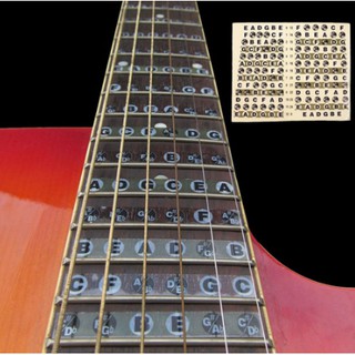Bộ nốt dán cần đàn guitar