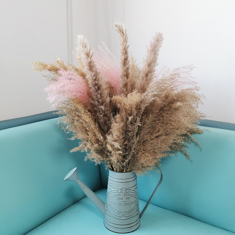 Bình tưới cây bằng kim loại mạ kẽm trang trí nhà cửa