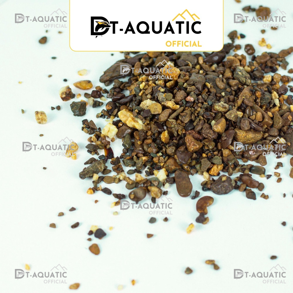 Sạn Suối Nâu (500G-1KG) Trải Nền Trang Trí Bể Cá Thuỷ Sinh, Bán Cạn