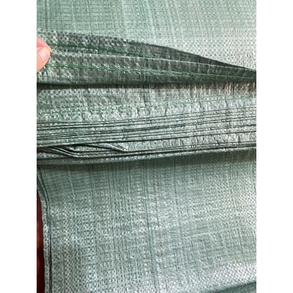compo 10 cai Bảo tải dứa xanh 60 x 90cm