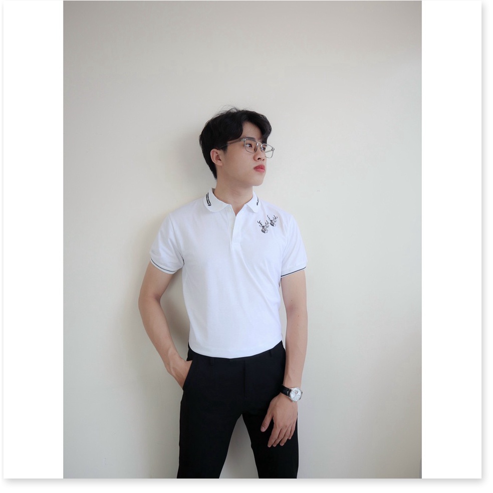 ÁO THUN NAM NGẮN TAY SANG TRỌNG , CHUẨN BODY CHO AE KHANH AN