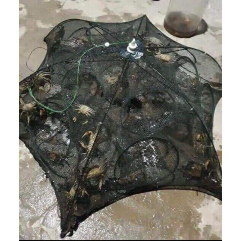 Lồng ô bát quái