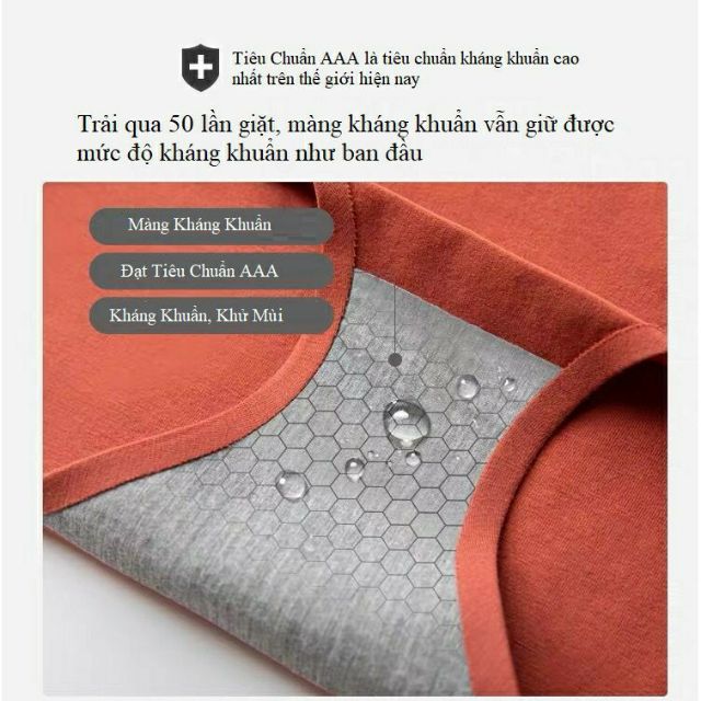 Quần Lót Cotton Sợi Bông Kháng Khuẩn Cao Cấp -CC01 (D)