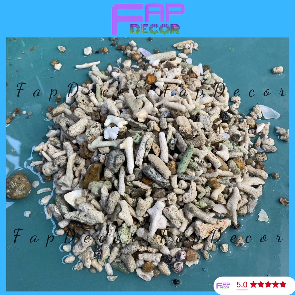 1000GR SAN HÔ VỤN LỌC NƯỚC TĂNG PH TRONG NƯỚC, TRANG TRÍ, TIỂU CẢNH, LÓT NỀN - FAPDECOR