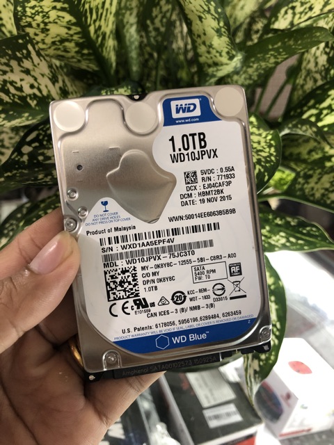 Ổ cứng laptop 1TB theo máy hàng xịn chất lượng sức khoẻ 100% | BigBuy360 - bigbuy360.vn