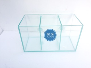 Bể betta 3 ngăn