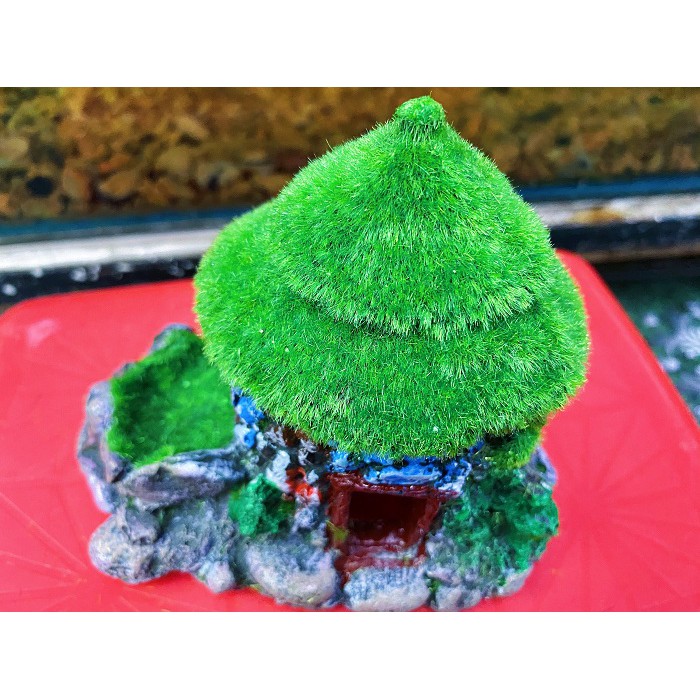 CẢNH NHÀ PHỦ RÊU TRANG TRÍ HỒ CÁ NON BỘ 14X10X13CM