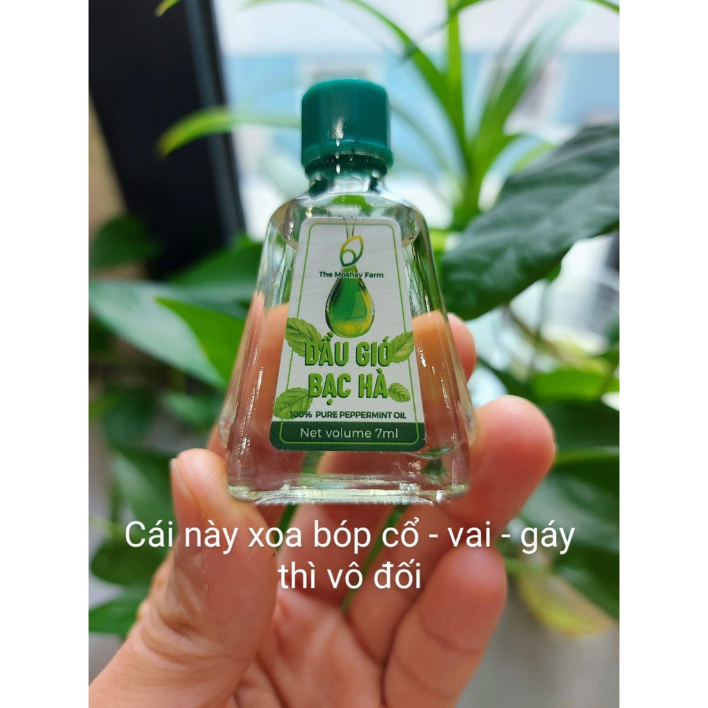 HỘP 2 CHAI DẦU GIÓ BẠC HÀ MỖI CHAI 7ML VỚI HƯƠNG THƠM DỊU NHẸ, 100% TINH CHẤT TỪ LÁ BẠC HÀ