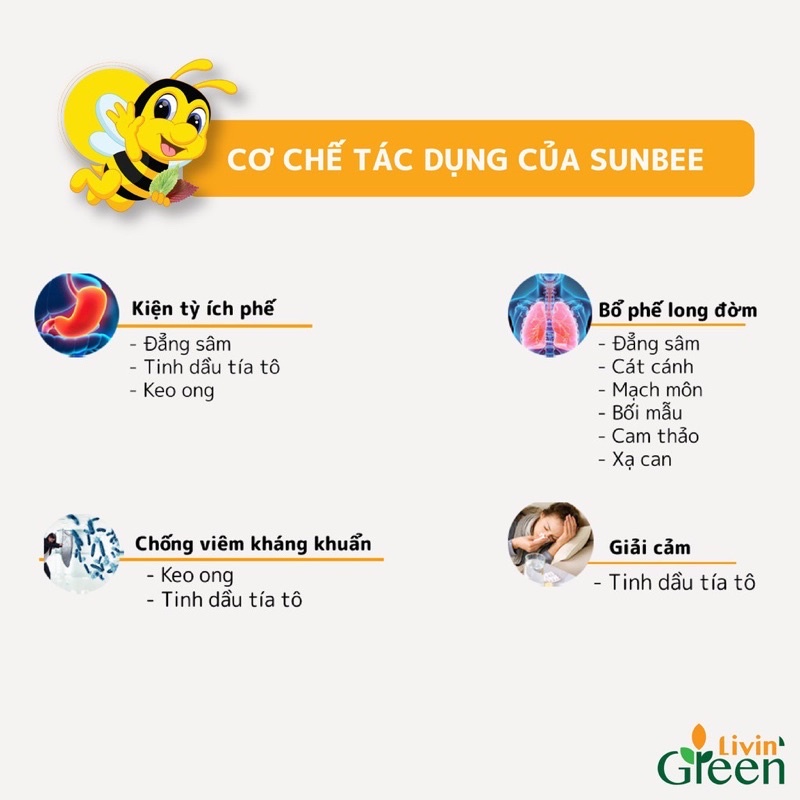 Siro ho Sunbee - Thành phần keo ong và thảo dược an toàn cho bé