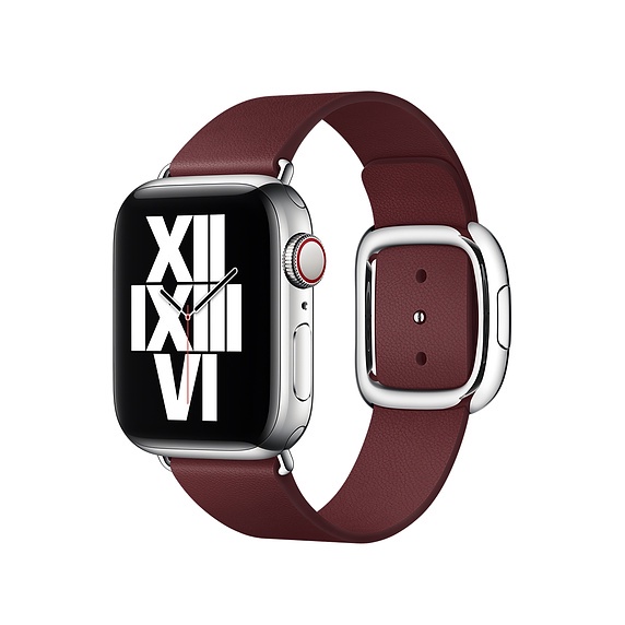 Apple Watch Modern Buckle 40mm (dây đeo apple watch)