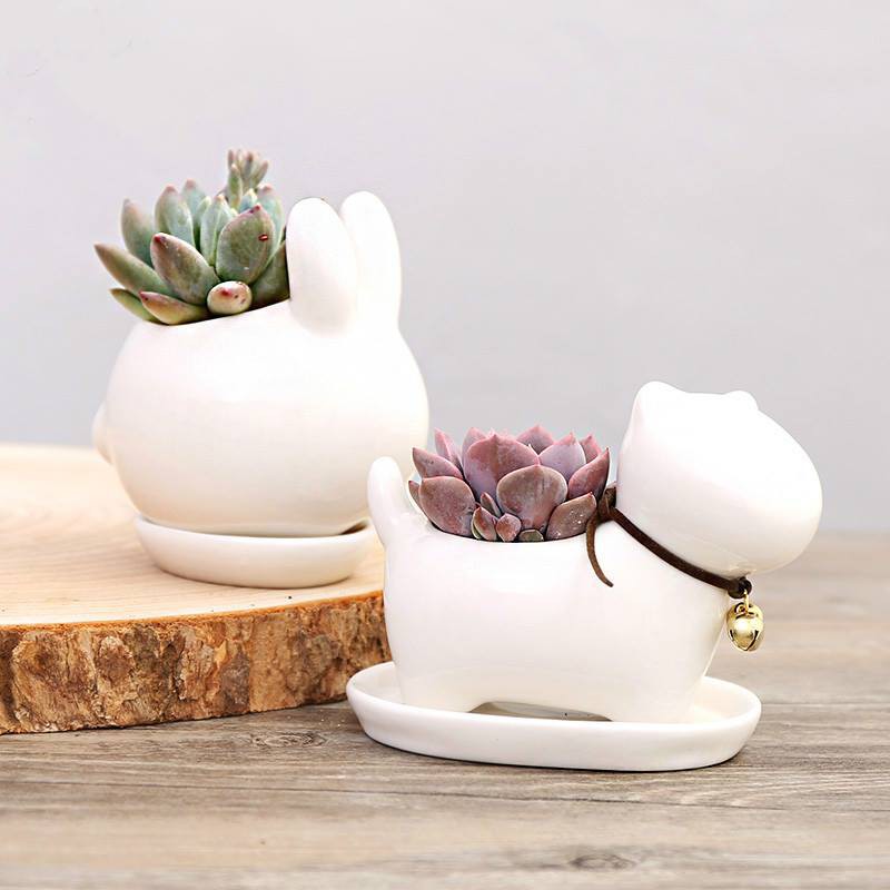 Chậu thú sứ trắng cao cấp
