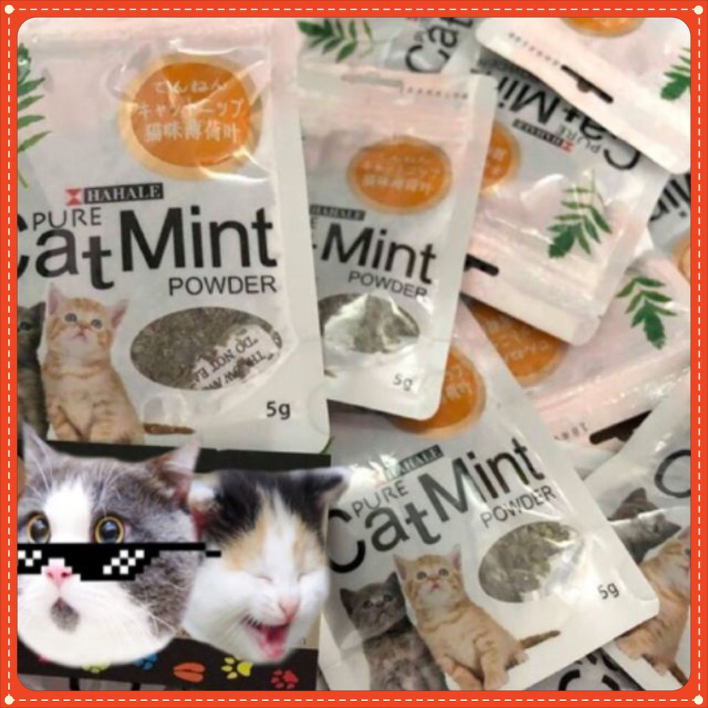 Cỏ bạc hà catnip cho mèo 5g