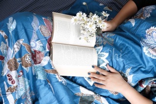 Bộ chăn ga gối cotton lụa Hàn Quốc