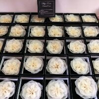 Hoa cài áo cao cấp