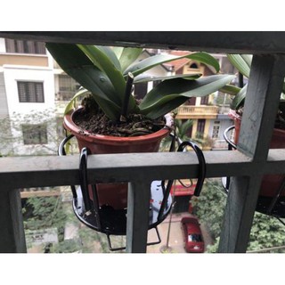 GIỎ TREO CHẬU HOA BAN CÔNG