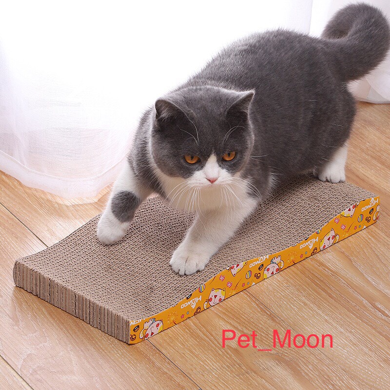 Bàn Cào Móng Cho Mèo Carton - Đồ Chơi Cho Mèo