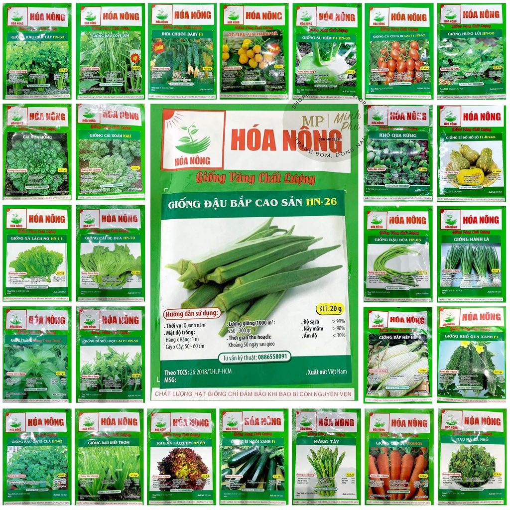 Giống đậu bắp cao sản HN26_20g